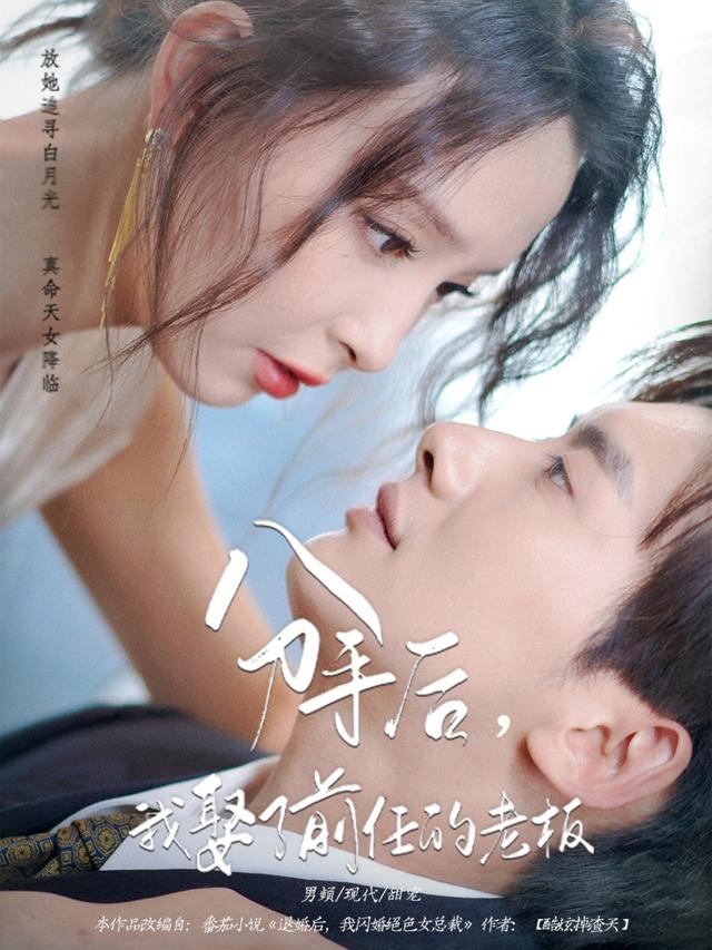 分手后，我娶了前任的老板海报
